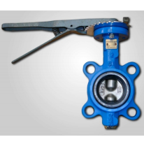 Cast iron body with stainless steel internals butterfly valves